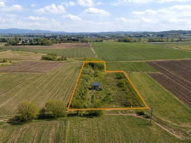 Dom Moderówka