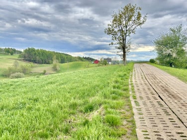 Działka Chmielno