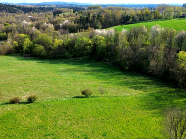 Działka Kołkówka
