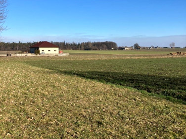 Działka Tuszyn