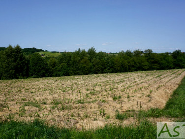 Działka Zelków