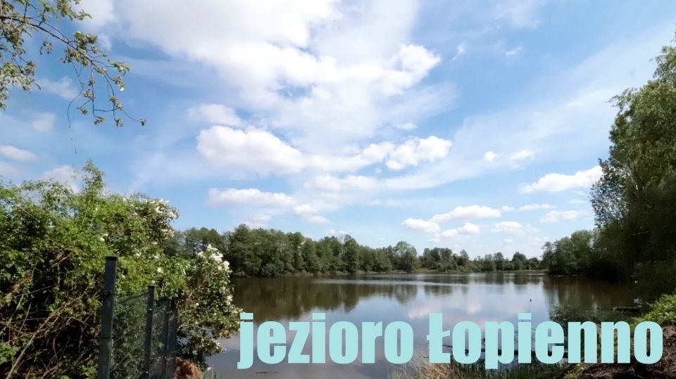 Działka Łopienno