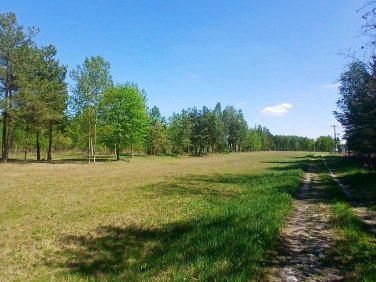 Działka budowlana Koryta