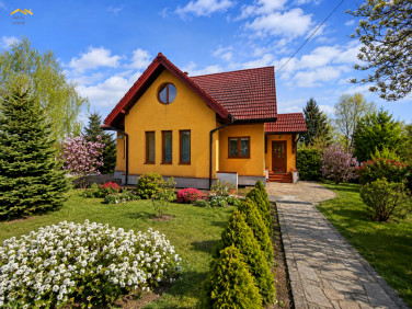 Lokal Kraków