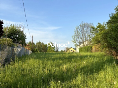 Działka Borek