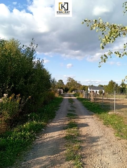 Zdjęcie 3