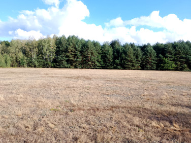 Działka budowlana Franciszków