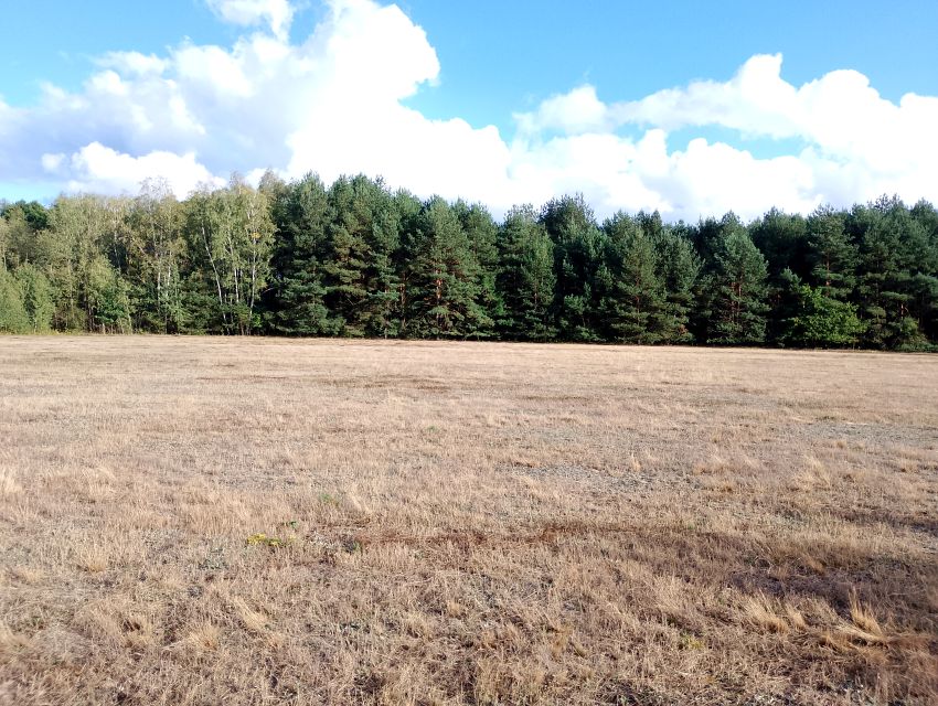 Działka budowlana Franciszków