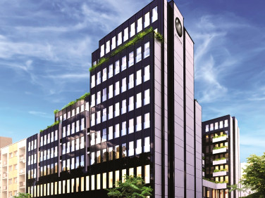 Lokal Szczecin