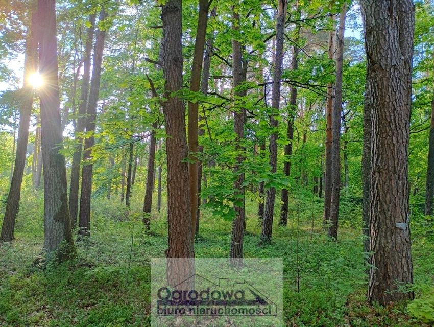 Działka budowlana Magdalenka
