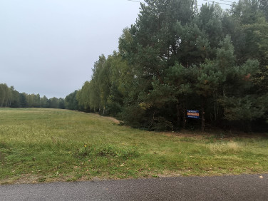 Działka rolna Pajęczak