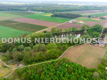 Działka Kutno