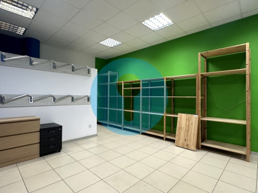 Lokal Kielce
