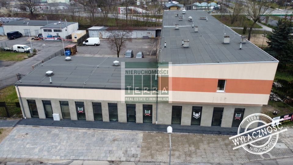 Lokal Zielona Góra