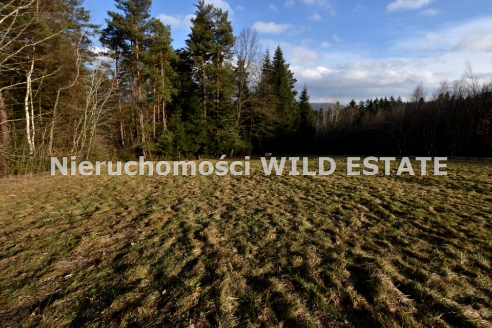Działka budowlana Weremień