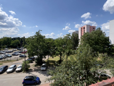 Mieszkanie Sosnowiec sprzedaż