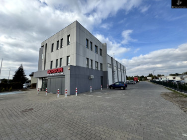 Lokal Toruń wynajem