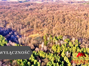 Działka leśna Wistka Królewska