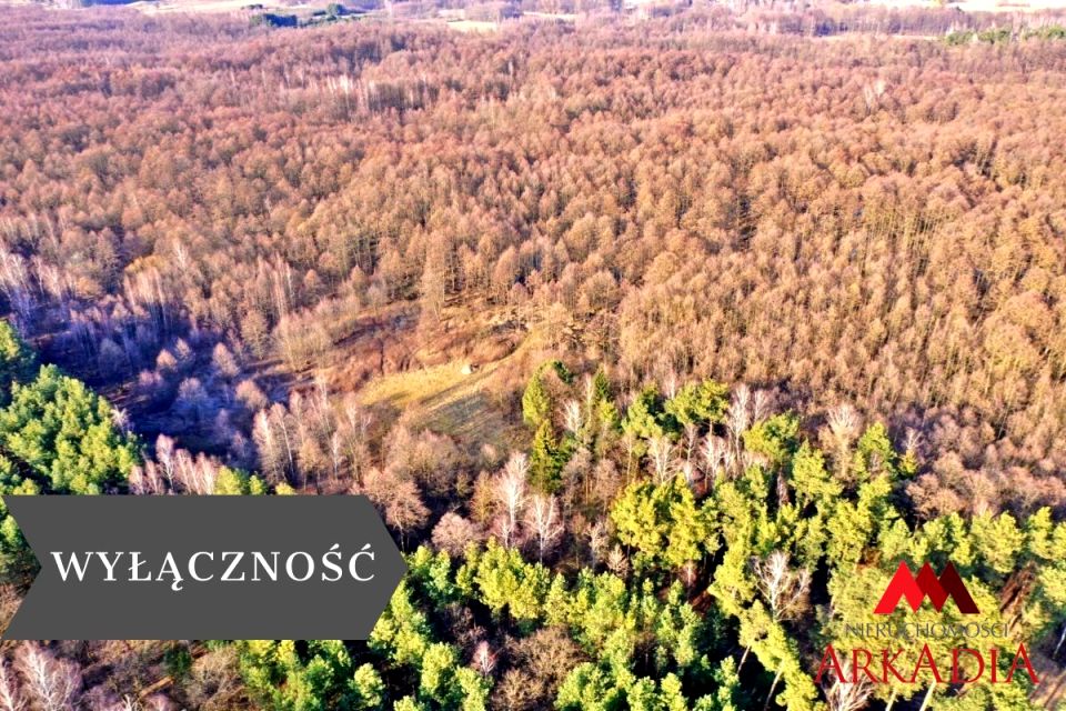 Działka leśna Wistka Królewska