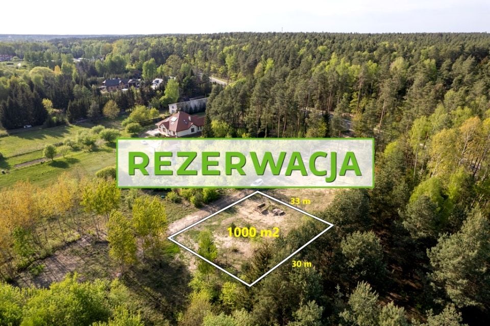 Działka Olmonty