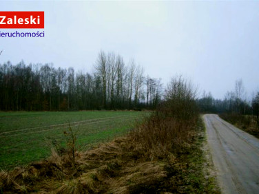 Działka rolna Henrykowo sprzedam