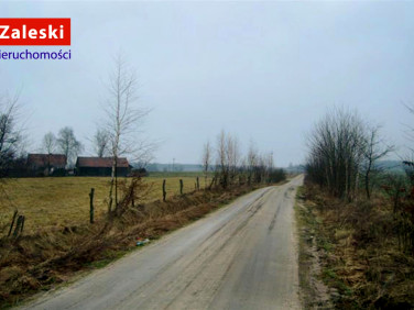 Działka rolna Henrykowo sprzedam