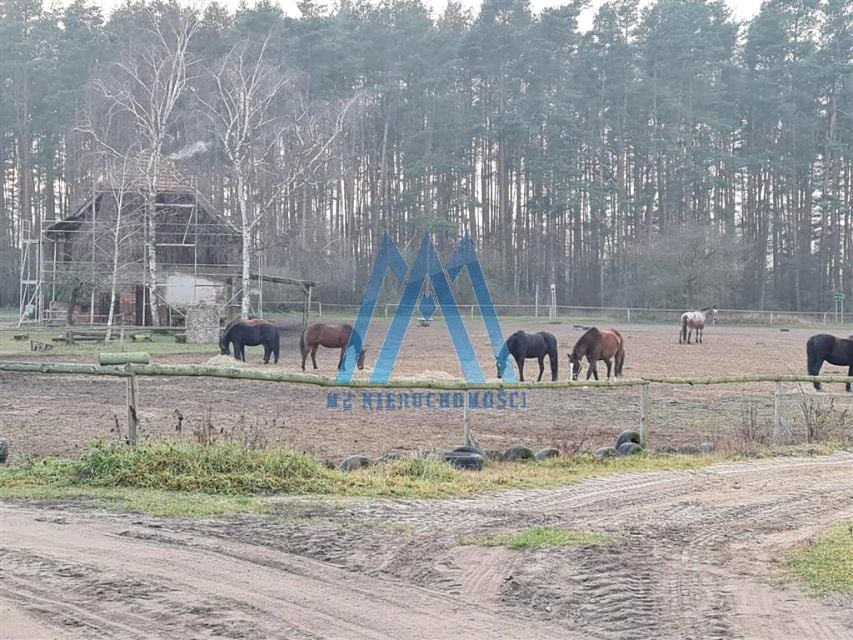 Zdjęcie 2