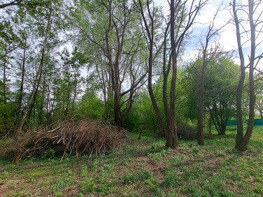 Działka budowlana Michałów-Reginów
