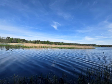 Działka inna Płaska