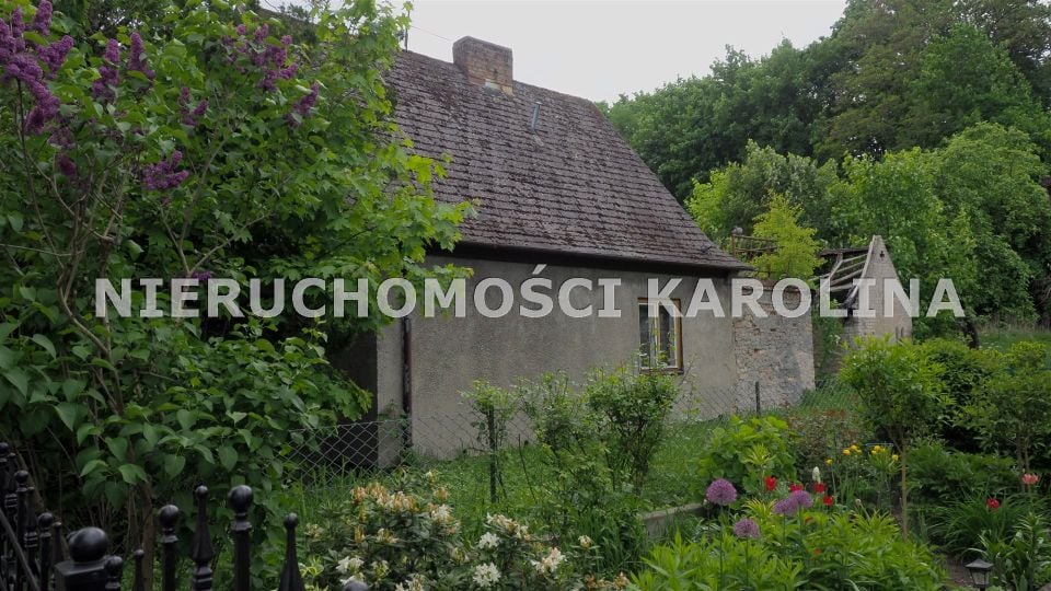 Zdjęcie 3