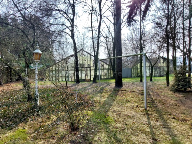Działka budowlana Krosinko