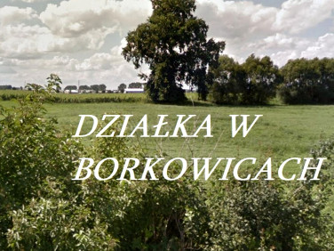 Działka budowlana Borkowice sprzedam
