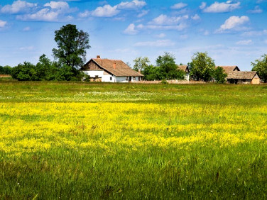 Działka budowlana Czernichów