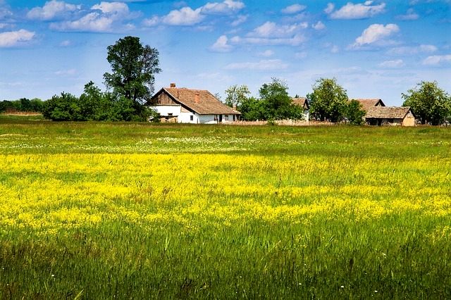 Działka budowlana Czernichów