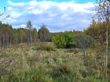 Działka budowlana Mierzeszyn