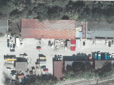Lokal Kraków