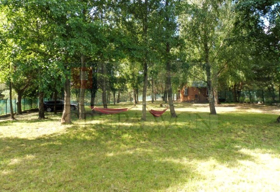 Zdjęcie 3