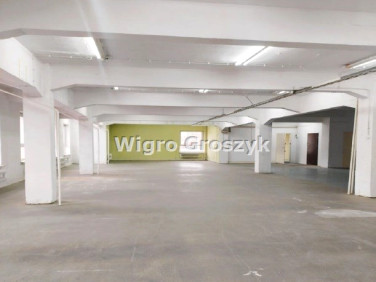 Lokal Warszawa