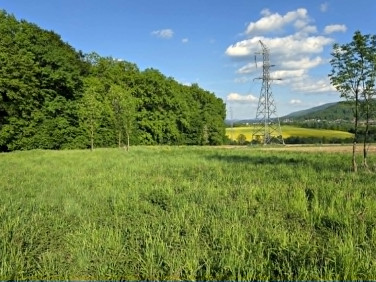 Działka rolna Bażanowice