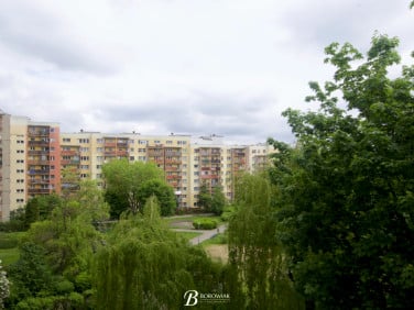 Mieszkanie Kalisz