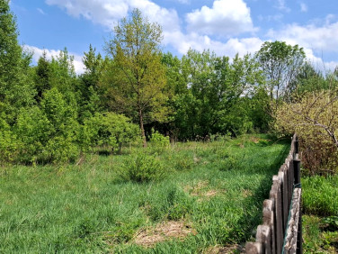 Działka inwestycyjna Teofile