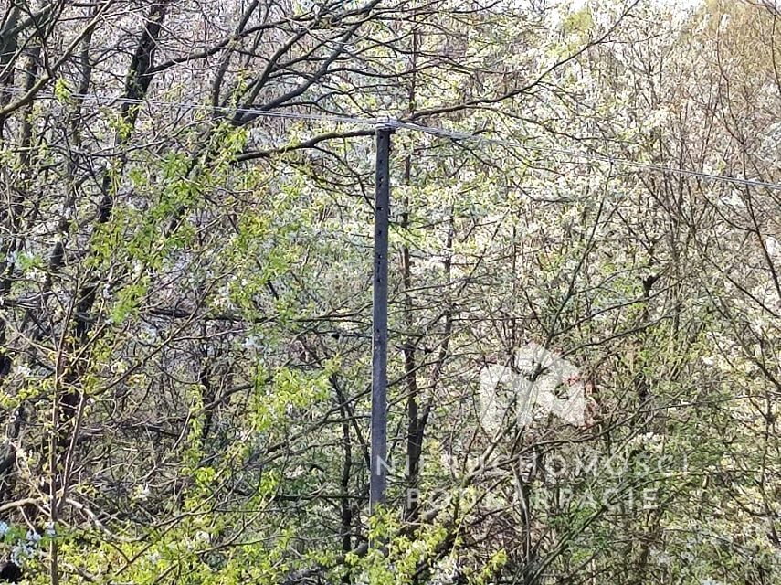 Zdjęcie 2