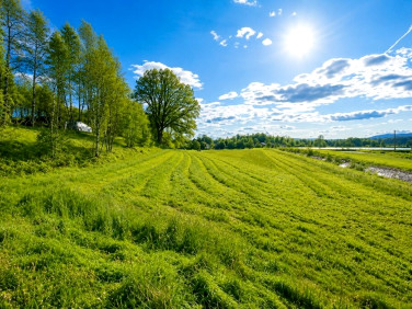 Działka Malec