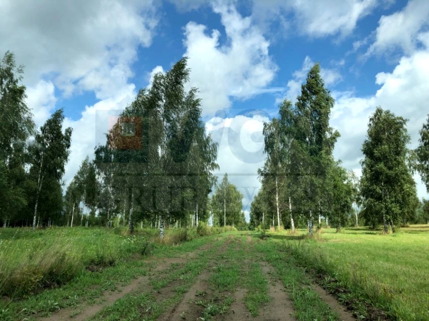 Zdjęcie 3