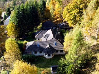 Dom Orłowiec