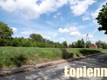 Działka Łopienno