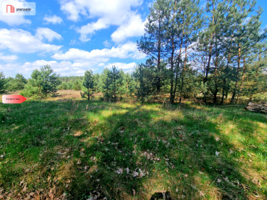 Działka inna Szkocja