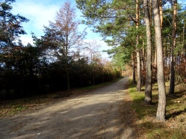 Działka budowlana Borówiec sprzedam