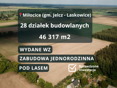 Działka przy lesie