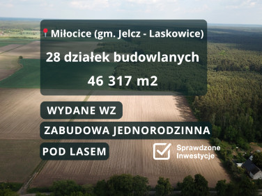 Działka przy lesie